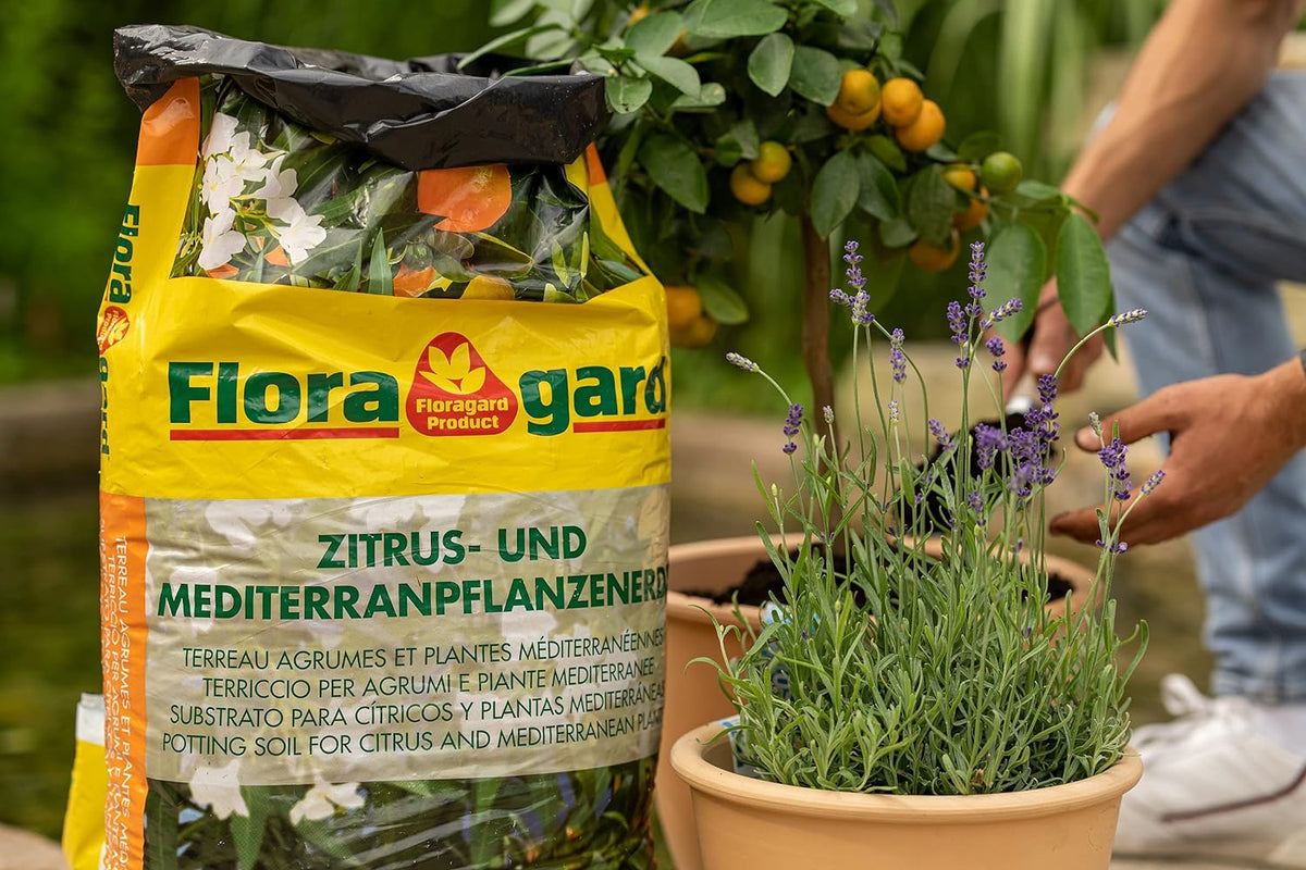 FLORAGARD Zitrus- und Kübelpflanzenerde 40L