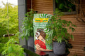 FLORAGARD Growmix ORGANIC 70L